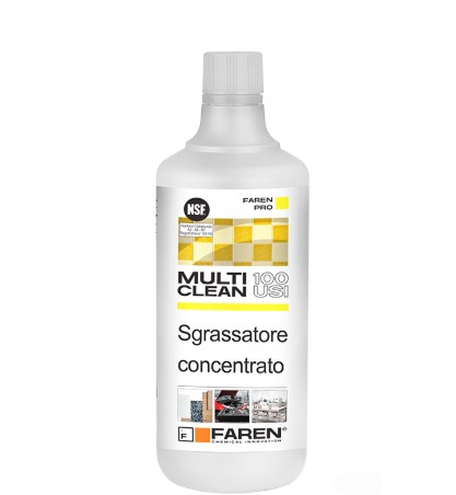209001-000-7022-jpg MULTI CLEAN 100 USI 1 lt