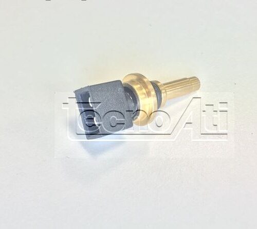 amtson000065-000-4642-jpg SOND AINTERCAMIAILE CON CHAFFOTEAUEX VARSON000007